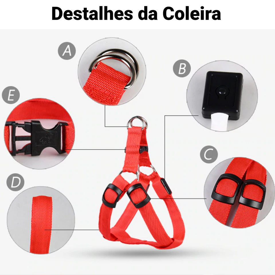 Coleira LED - Cães e Gatos