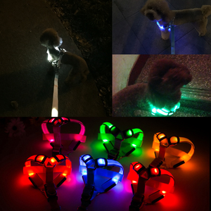 Coleira LED - Cães e Gatos