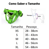 Coleira LED - Cães e Gatos